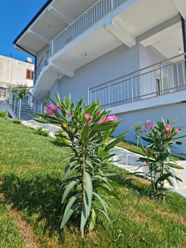 Jardim, City View Apartments in Lezhe