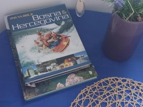 Indy - Apartment - Travnik