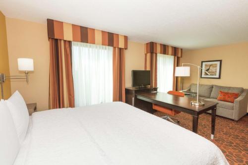 King Studio Suite with Sofa Bed - Non-Smoking image 3