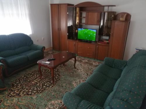 STE-FI APARTMANS - Apartment - Gostivar