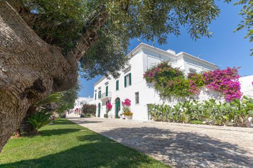 Masseria San Nicola Savelletri - B&B - Hotel - Fasano