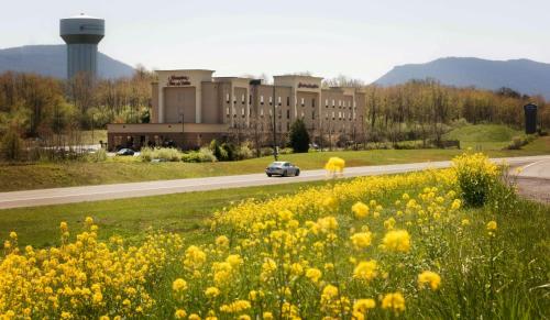 Hampton Inn By Hilton And Suites Woodstock