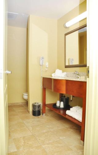 Hampton Inn Macomb - image 13