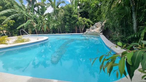 مسبح, Little Savoy Guest House new in رن أواي باي