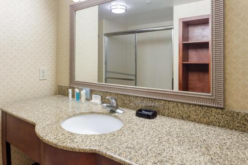 Hampton Inn by Hilton Moss Point Pascagoula - 화장실