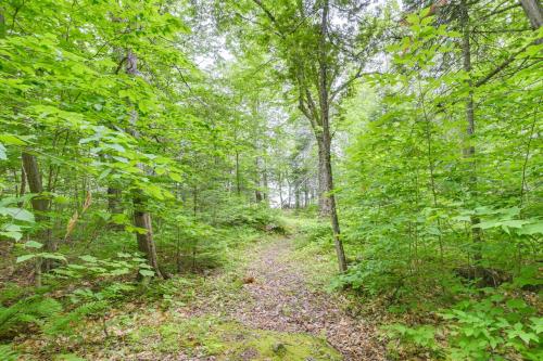 Near Snowmobiling: Secluded Harmony Cabin w/ Deck! in Dexter (ME)