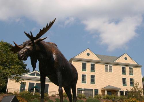 Hampton Inn Freeport/Brunswick