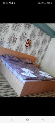 安瑞多旅馆 安瑞多旅馆