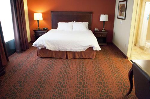 Hampton Inn Rochester-Webster