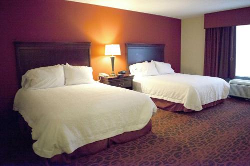 Hampton Inn Rochester-Webster