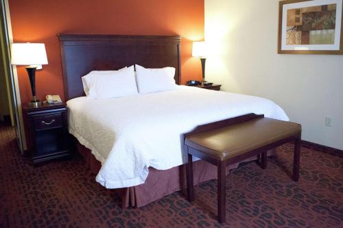 Hampton Inn Rochester-Webster