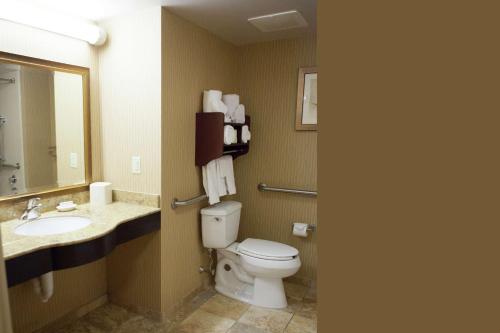 Hampton Inn Rochester-Webster