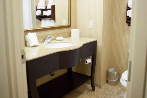 Hampton Inn Rochester-Webster