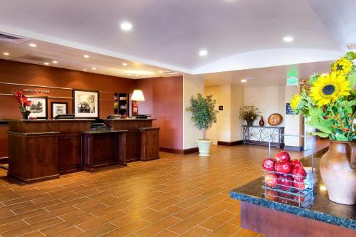 Hampton Inn By Hilton & Suites Lodi