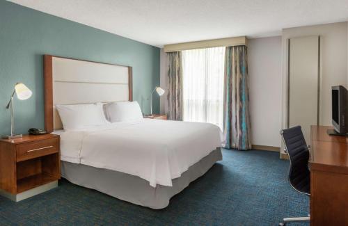 One-Bedroom King Suite with Sofa Bed - Non-Smoking image 4