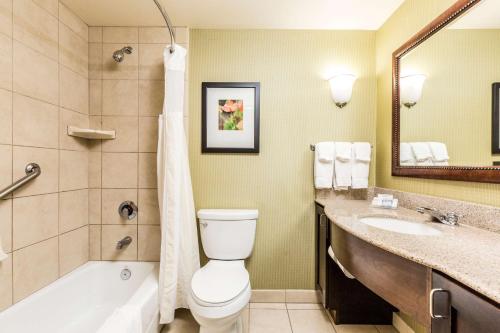 圣乔治希尔顿花园酒店 圣乔治希尔顿花园酒店