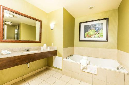 圣乔治希尔顿花园酒店 圣乔治希尔顿花园酒店