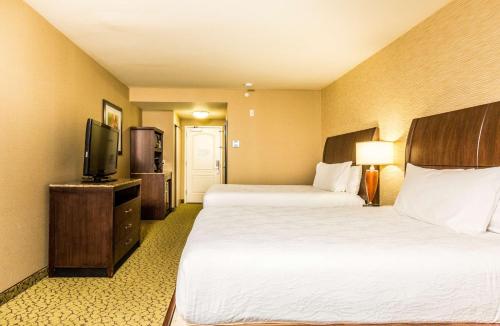 圣乔治希尔顿花园酒店 圣乔治希尔顿花园酒店