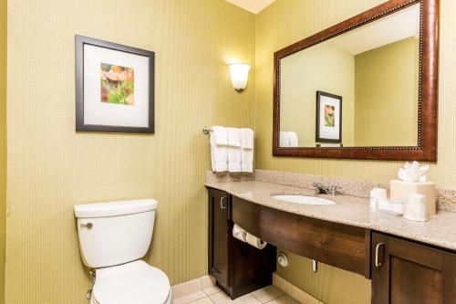 圣乔治希尔顿花园酒店 圣乔治希尔顿花园酒店