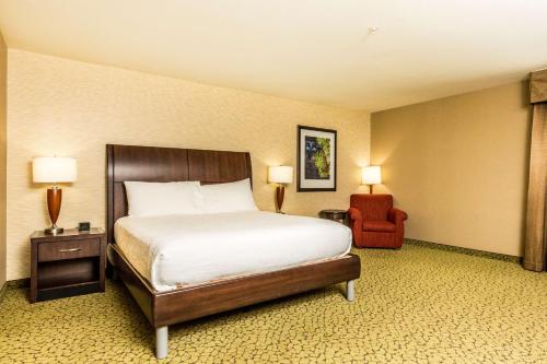 圣乔治希尔顿花园酒店 圣乔治希尔顿花园酒店