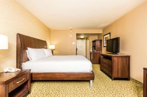 圣乔治希尔顿花园酒店 圣乔治希尔顿花园酒店