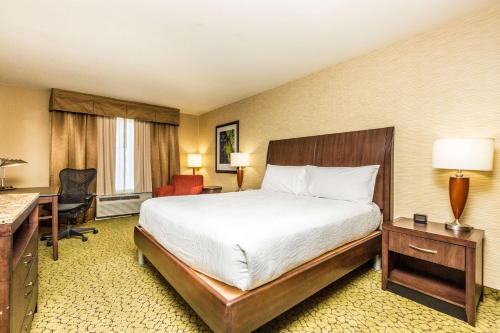 圣乔治希尔顿花园酒店 圣乔治希尔顿花园酒店