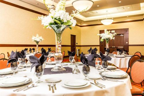 圣乔治希尔顿花园酒店 圣乔治希尔顿花园酒店