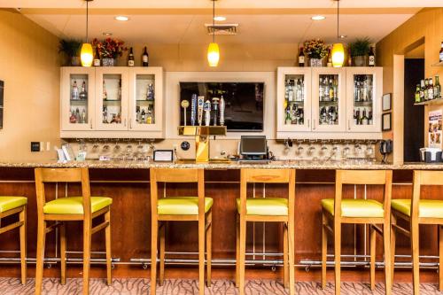 圣乔治希尔顿花园酒店 圣乔治希尔顿花园酒店