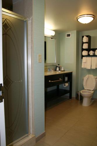 Hampton Inn By Hilton Shreveport Airport, La image 33