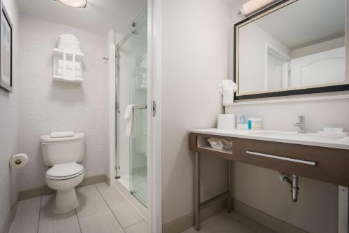 Hampton Inn - Springfield - image 6