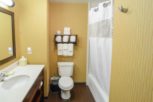 Hampton Inn By Hilton And Suites Tampa-North