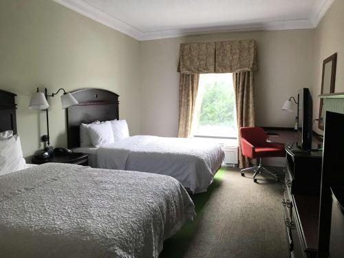 Hampton Inn Vidalia - image 13