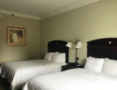 Hampton Inn By Hilton Vidalia, Ga