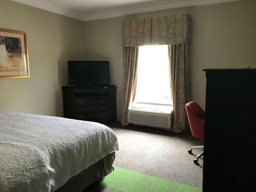 Hampton Inn By Hilton Vidalia, Ga