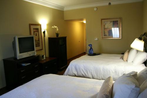 Hampton Inn Vidalia - image 2