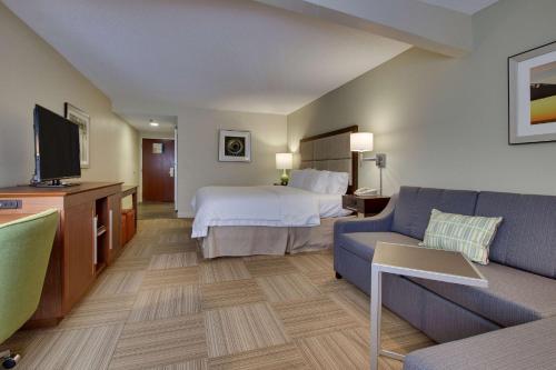 1 king bed, 1 sofa bed