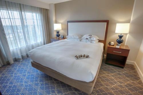DoubleTree Suites by Hilton Atlanta - Galleria Room Type - Non-Smoking Two Room King Suite