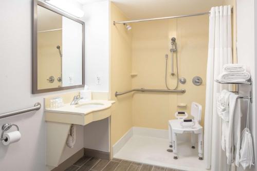 King Room with Roll-In Shower - Mobility Access/Non-Smoking