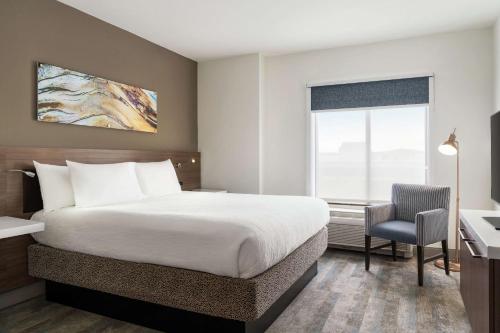 夏洛特/艾尔斯利希尔顿花园酒店 夏洛特/艾尔斯利希尔顿花园酒店