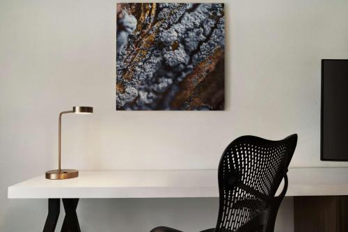 夏洛特/艾尔斯利希尔顿花园酒店 夏洛特/艾尔斯利希尔顿花园酒店