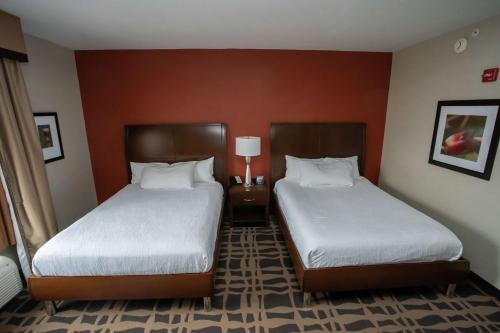 2 queen beds