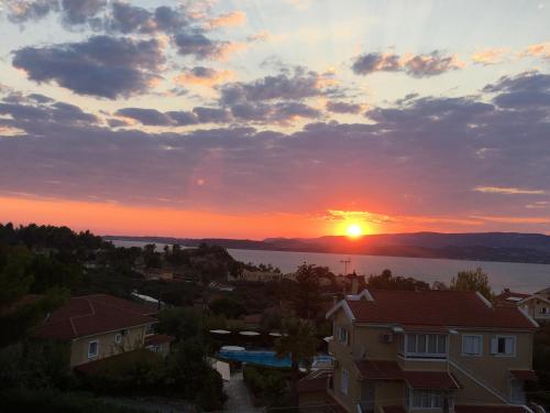 View, Despina Studios and Apartments in Kefalonia