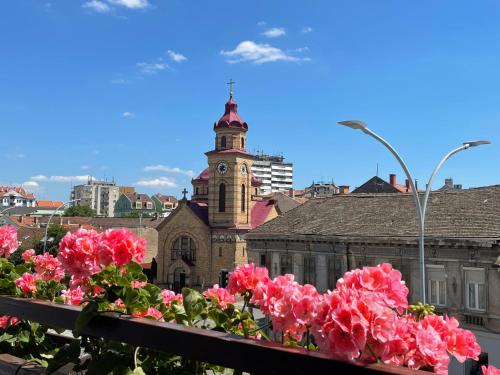 Sunny apartment - Apartment - Vršac