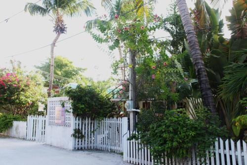 Amanda's Place Yellow Studio - Pool and Tropical garden