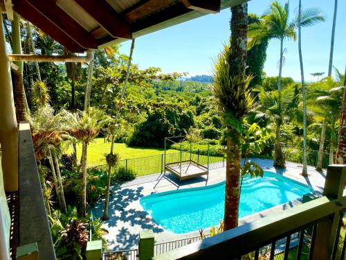 Jackaroo Treehouse Rainforest retreat in Bingil Bay (QLD)