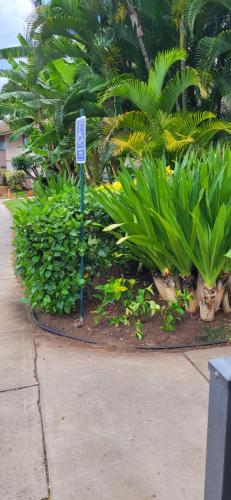 Kihei Kai Nani Resort - image 10