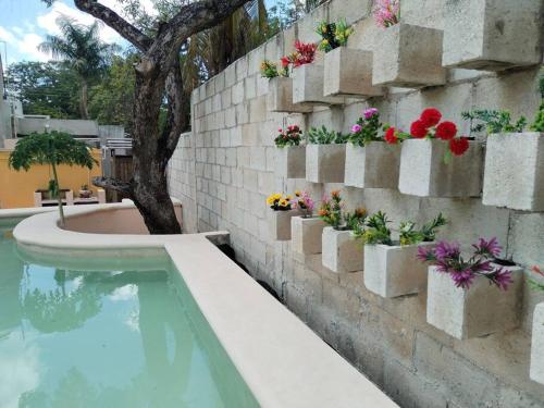 Zwembad, Qué Chula casa. (Que Chula casa.) in Guadalupe