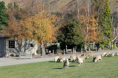 Bauchops Hill Station Farmstay - Hotel - Burkes Pass