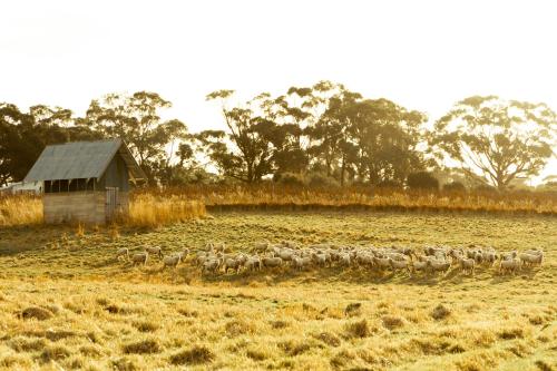 The Blacksmith's Cottage at Lisdillon Vineyard