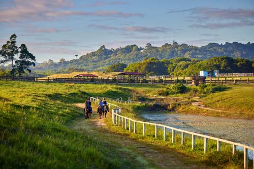 KUR-Cow farm escape 35 minutes from Cairns Cairns